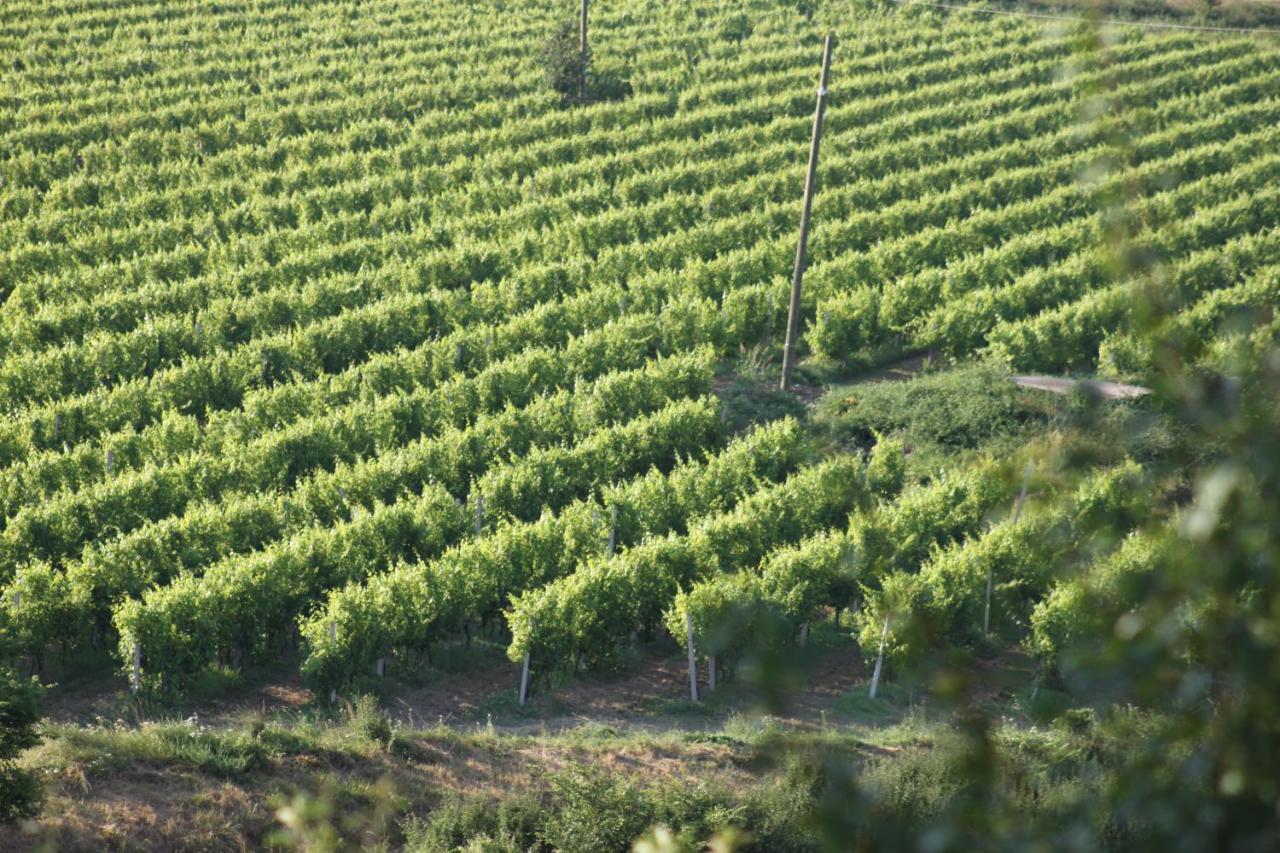 Apartmani Dienes Novi Vinodolski Bagian luar foto